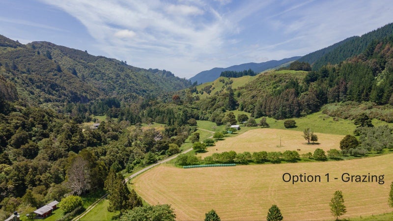 145 Andrews Road, Wairoa Valley - Carousel 2