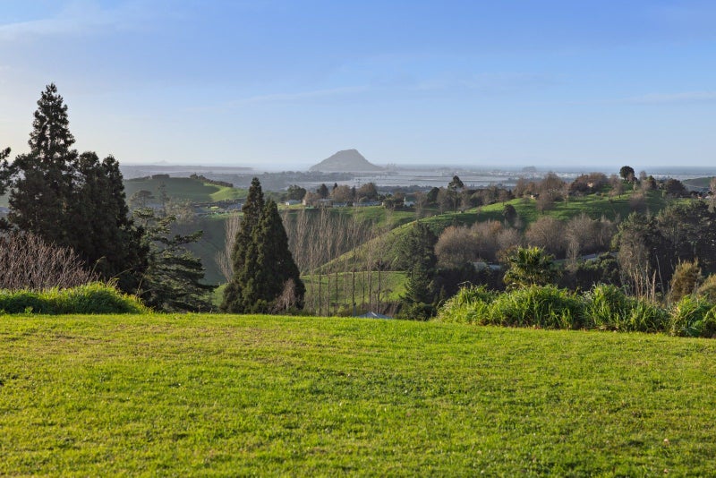 80B Neewood Road, Ohauiti - Carousel 2