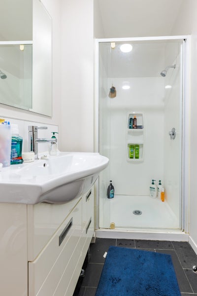 0 Otira Place, Awapuni, Palmerston North - Carousel 5