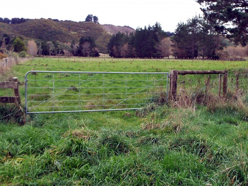 400 Katherine Mansfield Drive, Blue Mountains, Upper Hutt - Carousel 5