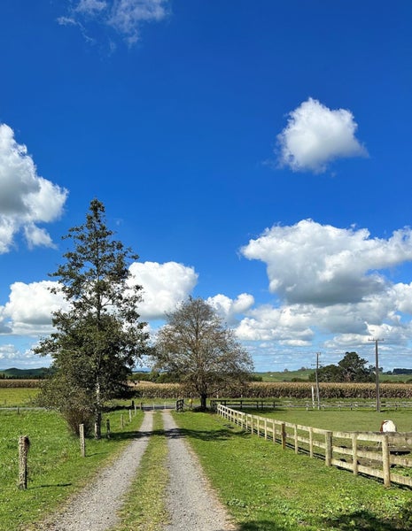 2119 Maungatautari Road, Maungatautari - Carousel 2