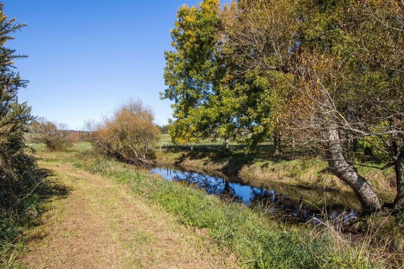 62C Walford Road, Katikati - Carousel 16