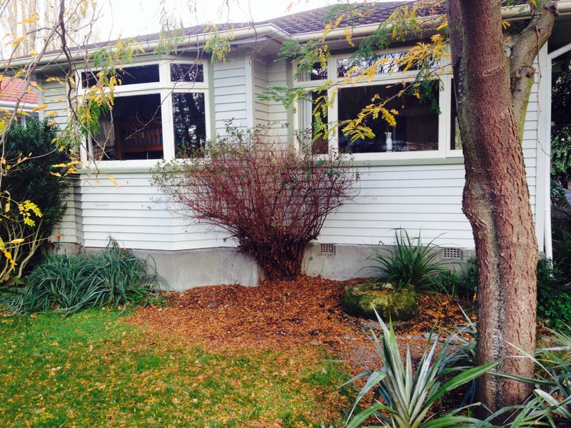 142 Studholme Street, Somerfield, Christchurch - Carousel 18