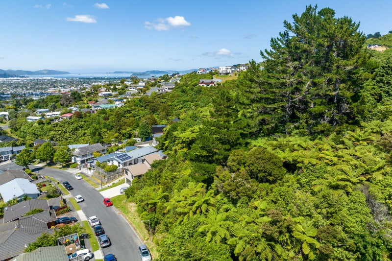 7 Picasso Grove, Belmont, Lower Hutt - Carousel 1