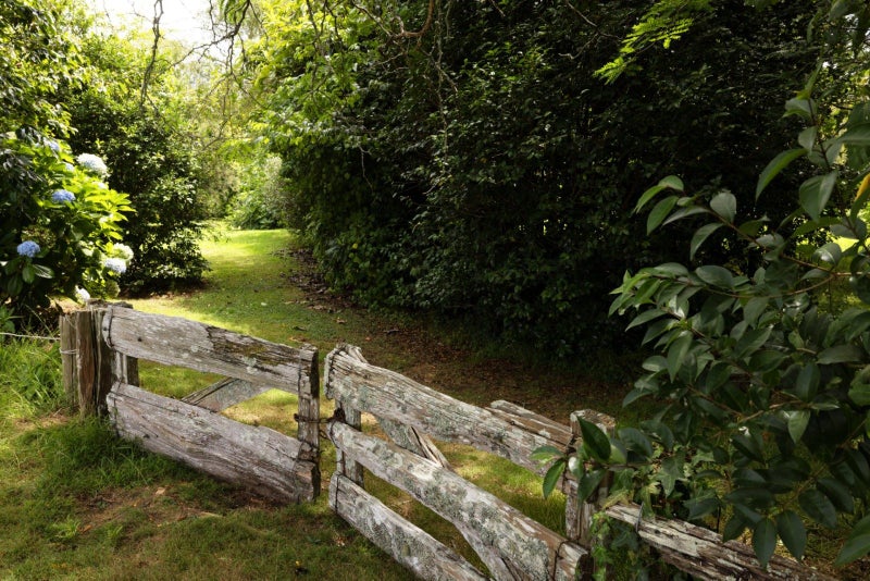 12 Perkins Drive, Tauranga - Carousel 26