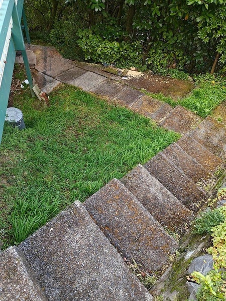 54 Farnham Street, Mornington, Wellington - Carousel 15