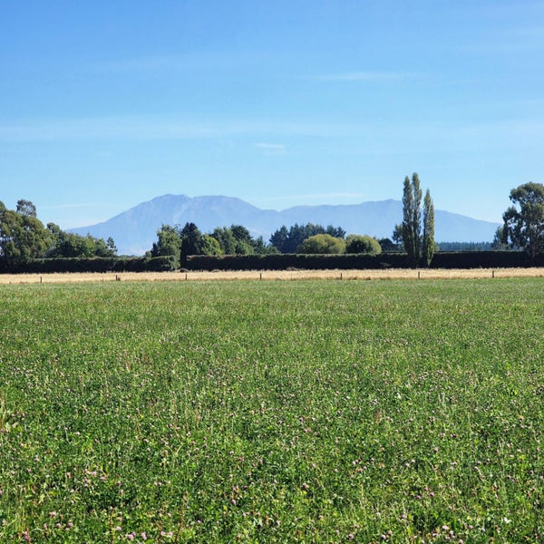 0 Tripp Settlement Road, Orari Bridge, Geraldine - Carousel 2