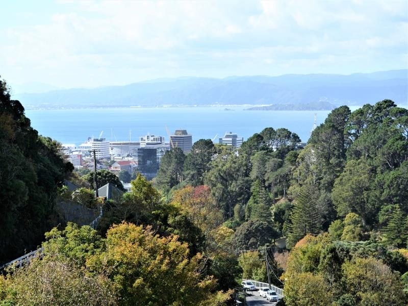 47 Garden Road, Northland, Wellington - Carousel 16