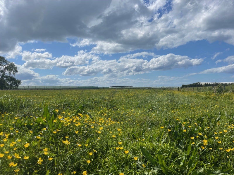 2221 State Highway 2, PUKEHINA - Carousel 5