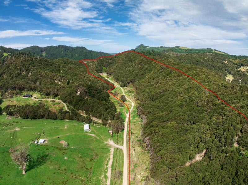 406 Matokitoki Valley Road, Gisborne - Carousel 33