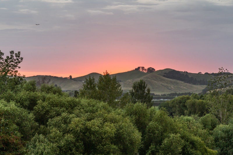 660 Omarunui Road, Puketapu - Carousel 33