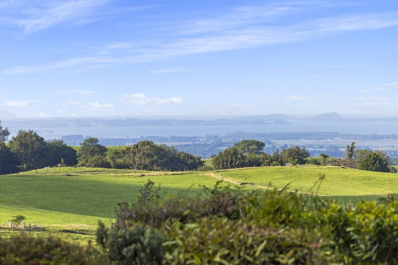 236A Tim Road, Whakamarama, Tauranga - Carousel 2