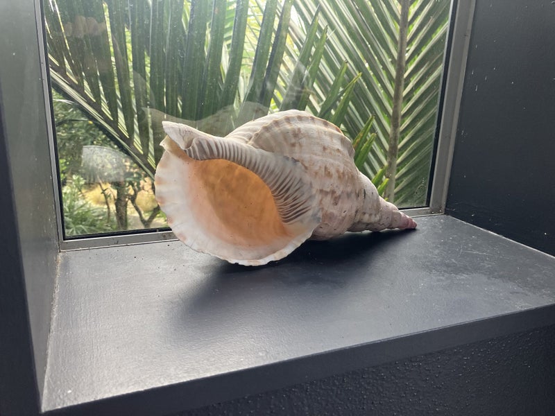 34 Beach Road, Castor Bay, Auckland - Carousel 24