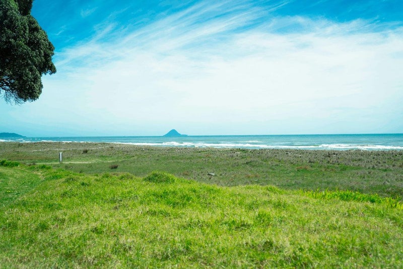 29 Bryan Road, Waiotahe, Opotiki - Carousel 20