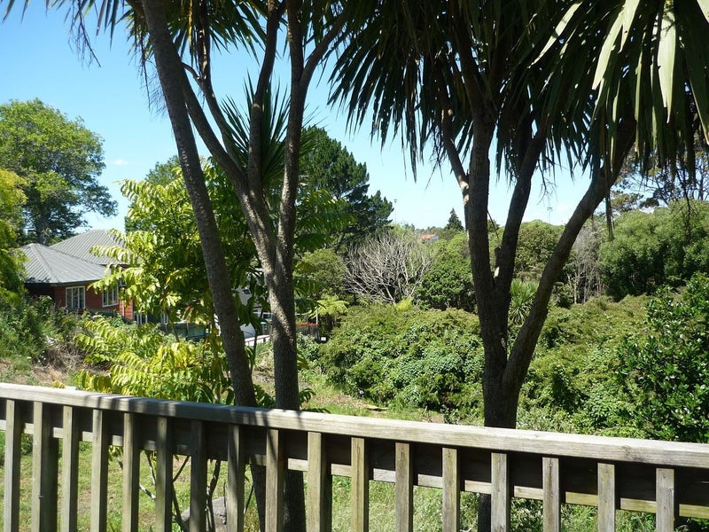 1610A Great North Road, Waterview, Auckland - Carousel 17