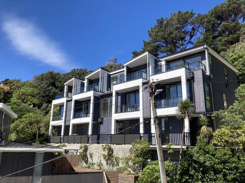 1F Wilkinson Street, Oriental Bay, Wellington - Carousel 1