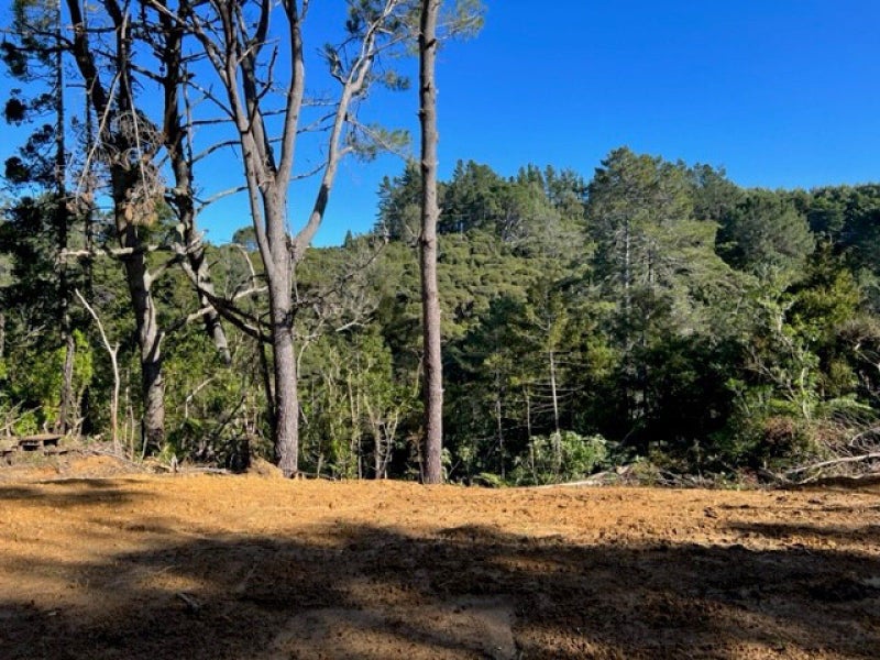 225 Awhitu Central Road, Āwhitu - Carousel 6