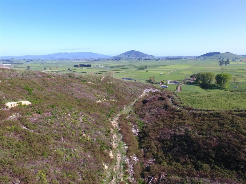 676 Puketarata Road, Otorohanga, Otorohanga - Carousel 11