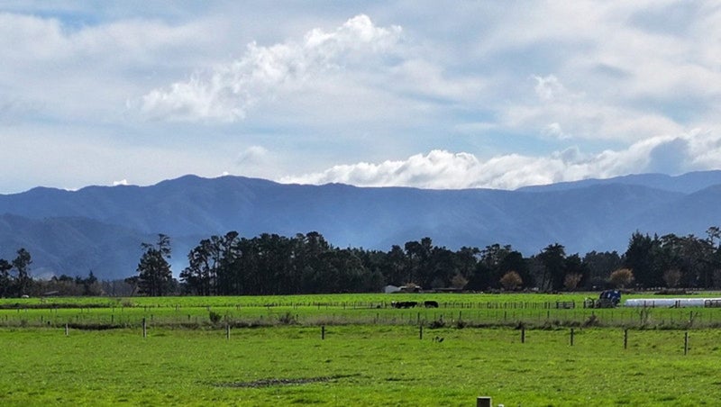 0 Te Maire Rd, Te Kopuru - Carousel 1