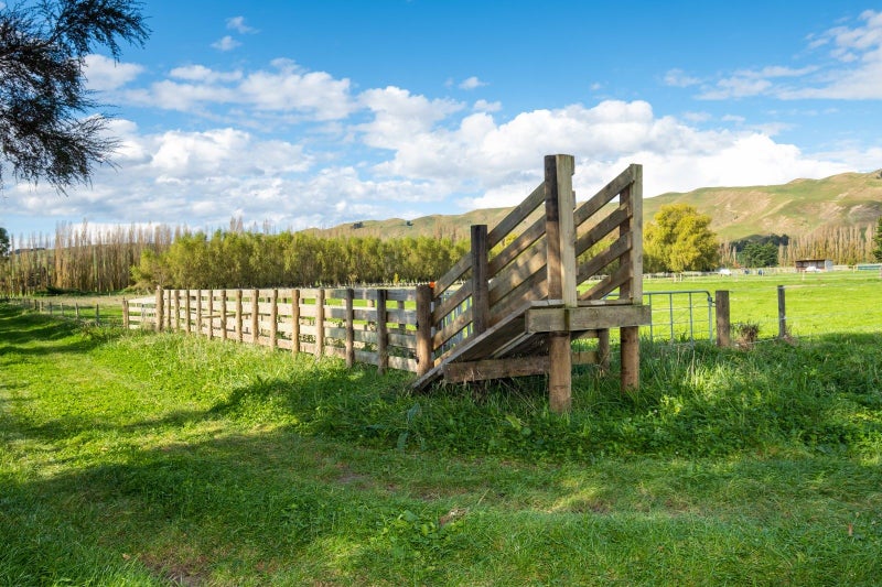 25 Malcolm Road, Hastings - Carousel 30