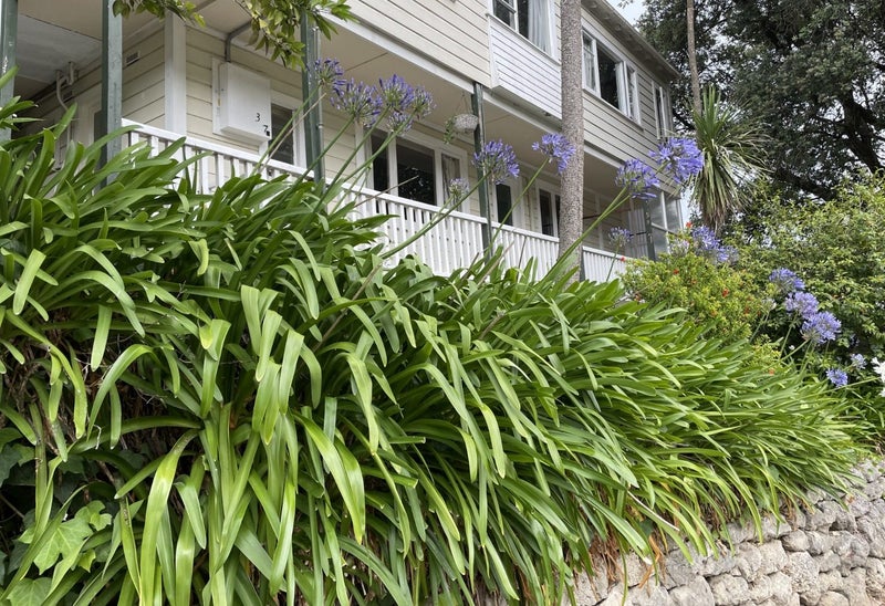 37 Faraday Street, Hospital Hill, Napier - Carousel 10