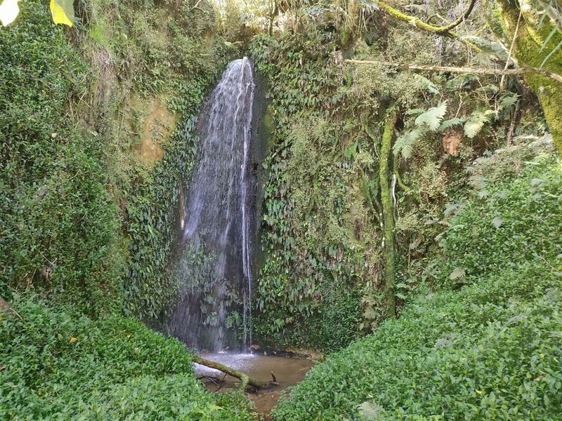 66 Hooker Road, Tamahere - Carousel 38