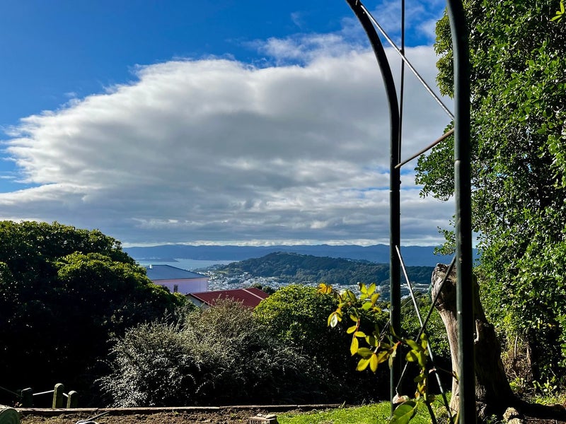 1B Apuka Street, Brooklyn, Wellington - Carousel 1