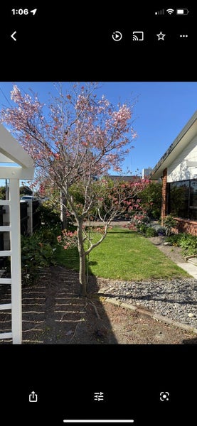 506 Ikanui Road, Frimley, Hastings - Carousel 15