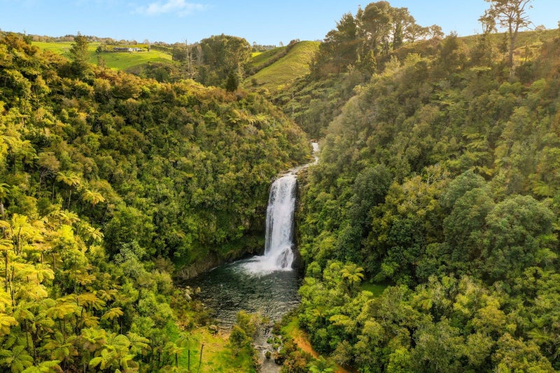 230D WAIPAPA BLOCK RD, Whakamarama - Carousel 50