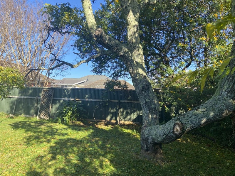 34 Perry Street, Mangapapa, Gisborne - Carousel 8
