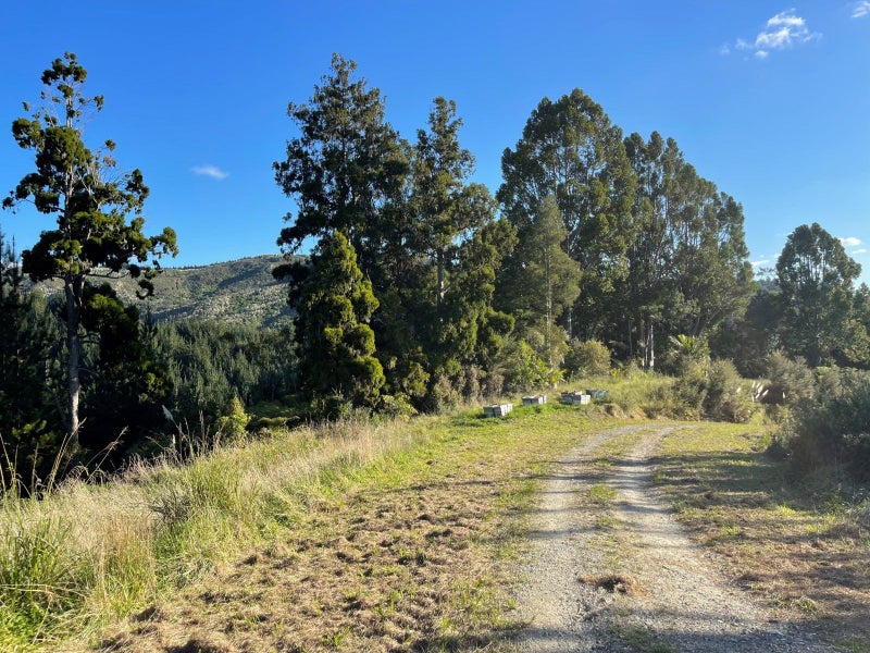 0 Matthew Road, Kaipara Flats, Warkworth - Carousel 18