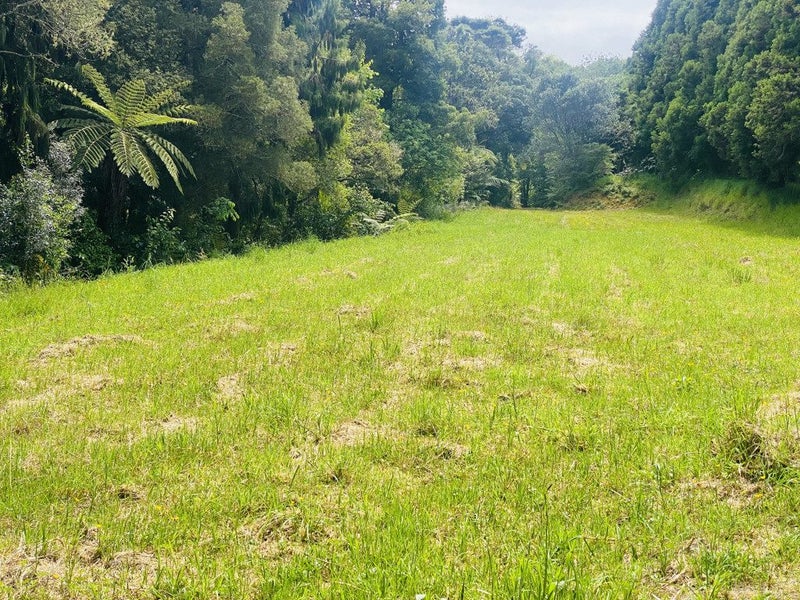 565 Whitford Road, Howick - Carousel 24