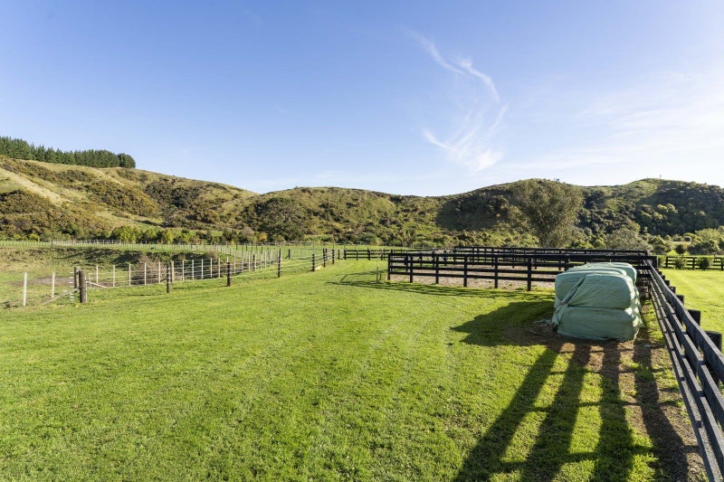 180 North Manakau Road, Manakau, Levin - Carousel 34