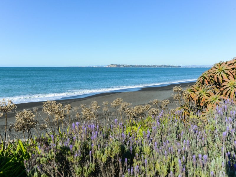 42 Le Quesne Road, Bay View, Napier - Carousel 15