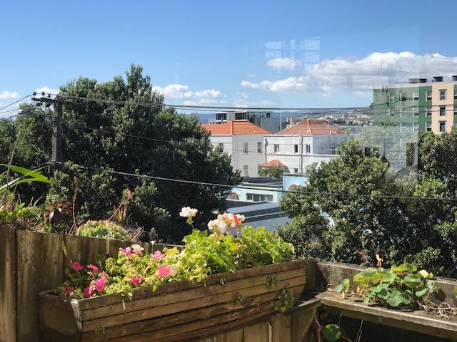 2/18 Ohiro Road, Aro Valley, Wellington - Carousel 1