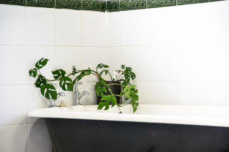 27B Opoia Road, Hamilton East, Hamilton - Carousel 50