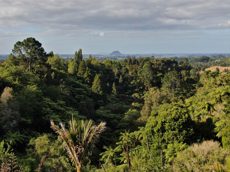 497 Joyce Road, Pyes Pa, Tauranga - Carousel 1