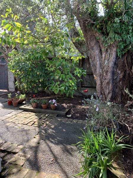 3/23 Ayr Street, Parnell, Auckland - Carousel 19