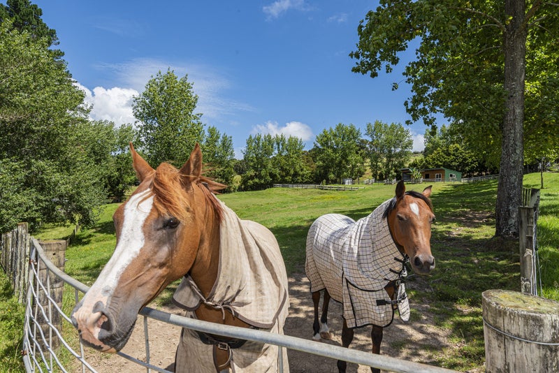 374A Vinegar Hill Road, Kamo - Carousel 2