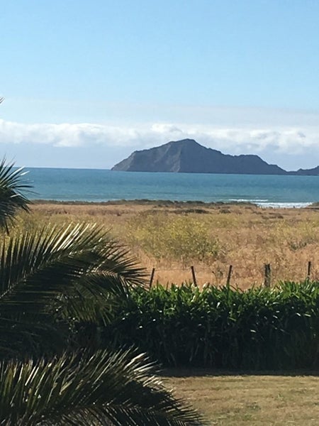 201 Waitangi Road, Havelock North - Carousel 8