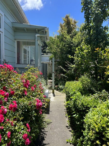 7 Salisbury Terrace, Mount Cook, Wellington - Carousel 1