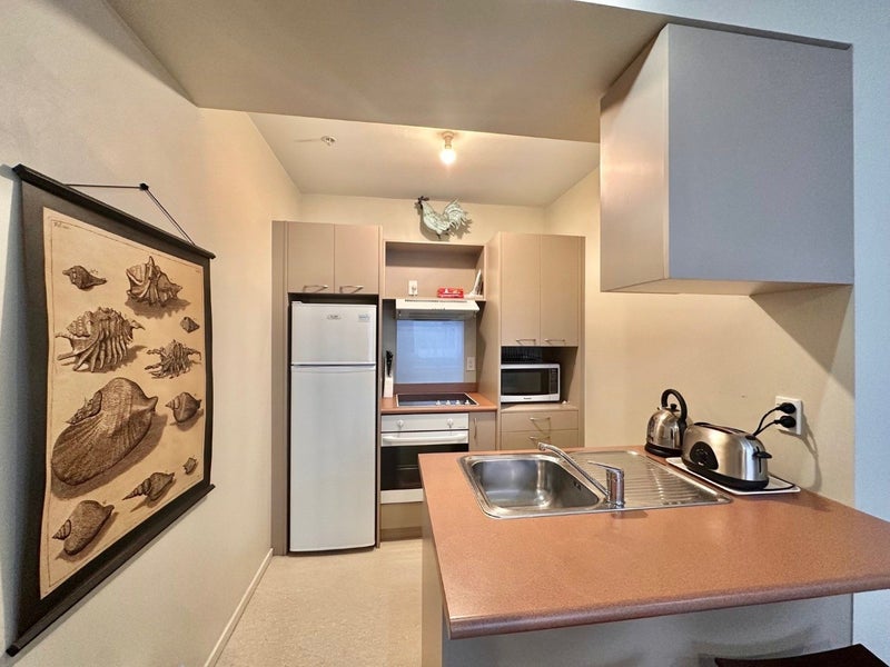 3D/115 Dixon Street, Te Aro, Wellington - Carousel 2