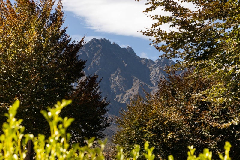 18 Copper Beech Avenue, Frankton, Queenstown - Carousel 24