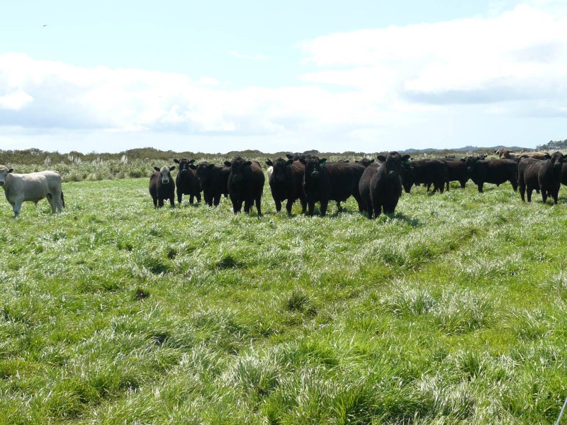 0 Kumi Road, Awanui, Awanui - Carousel 18