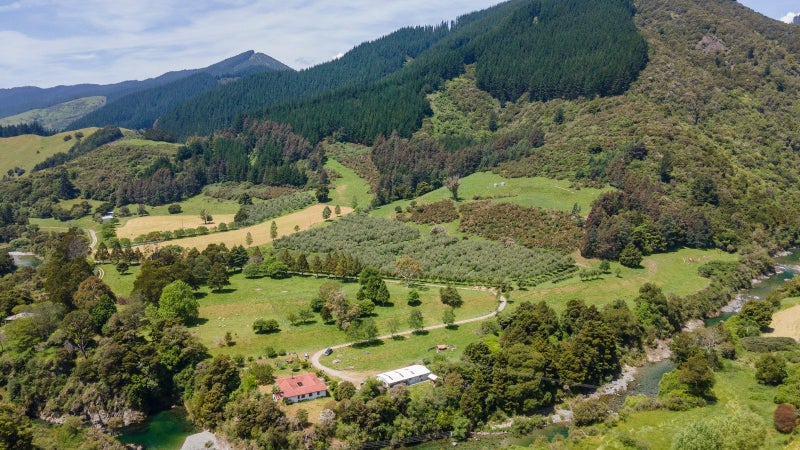 145 Andrews Road, Wairoa Valley - Carousel 17