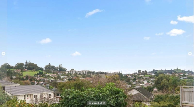110 Carlton Street, Hillsborough, Auckland - Carousel 14