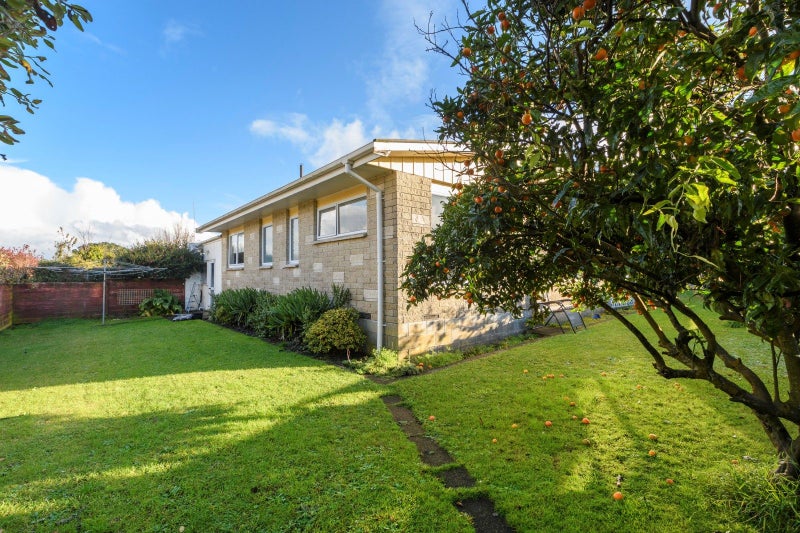 24B Hall Road, Matua, Tauranga - Carousel 2