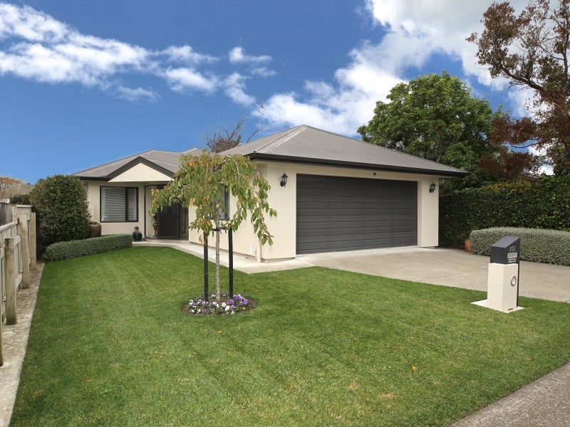 807 Fitzroy Avenue, Mahora, Hastings - Carousel 1