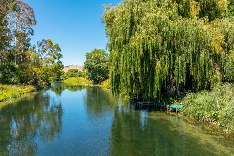 3111 State Highway 1, Riverlands, Blenheim - Carousel 24