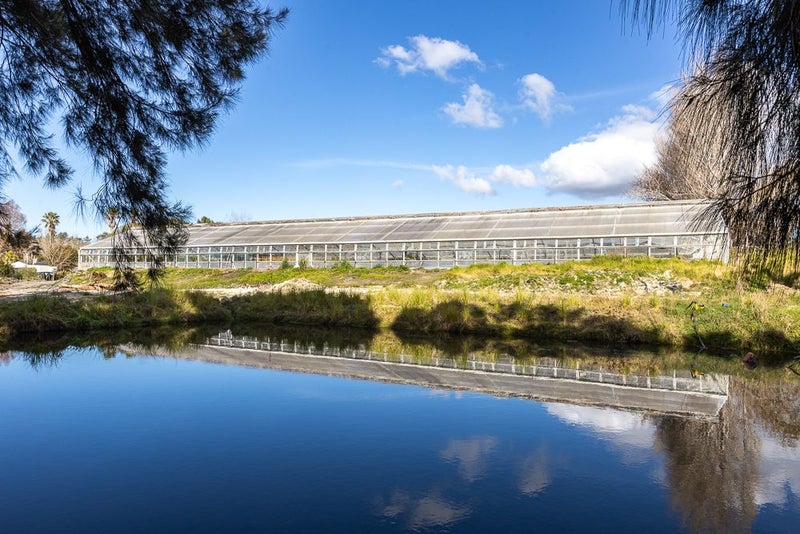 146 Top Road, Albany - Carousel 2